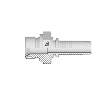 Alfagomma Slangpilaar BSPP Uitw. 60° DN19 - 1