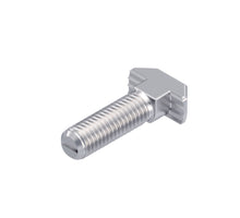 T-HEAD BOLT        HS10-M8X30