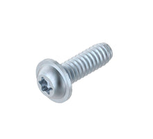 SCREW              S8X25-T40