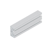 STRUT PROFILE      40X80L 2NVS 12X6070MM