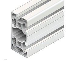 STRUT PROFILE      40X80L 3NVS