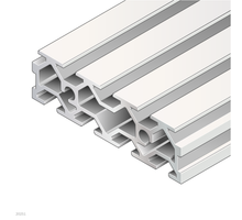 T-SLOT PLATE       30X100 L/R