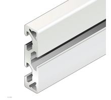 STRUT PROFILE      NUTENPL.10X40