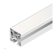STRUT PROFILE      30X30 2NVS 20X6070MM