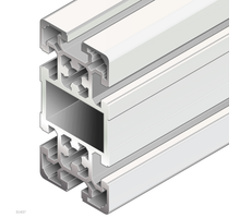 STRUT PROFILE      50X100L D17/D17