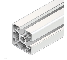 STRUT PROFILE      45X45L 2NVS 20X6070MM